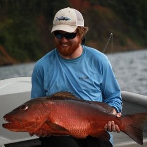 Meet your Posher, Ben